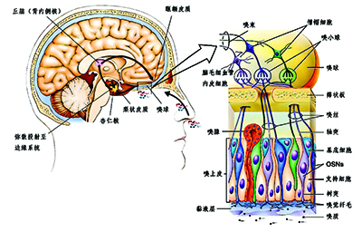 8ffb0a177bad43e9bed0943c1932e3a0.jpg 12-2.jpg
