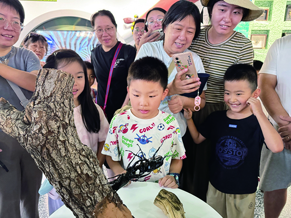 甲虫“角斗士”在太原植物园争霸