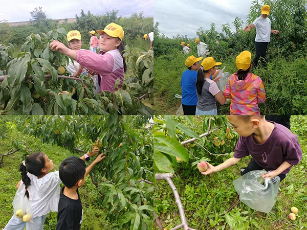 bd15f37480ae40388947506406dcfdd9.jpg 图片1.jpg