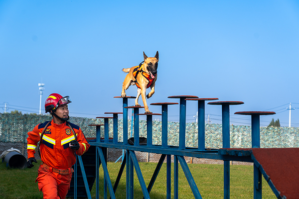训导员孙泽鑫与搜救犬“荣耀”：一人一犬 共赴荣光