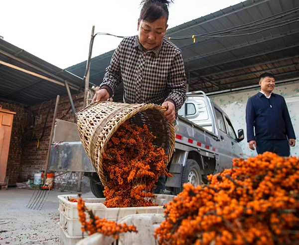 0ccfb3a4416b46bdb9481e30c32b6b54.png 图片1.png