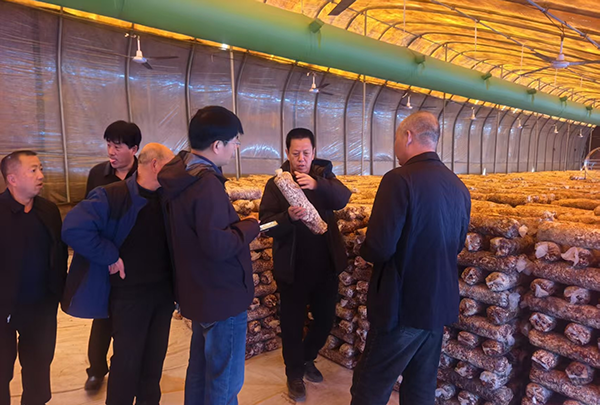 ac4f3948c2514ad3bec5c67288dc181b.png 2.png