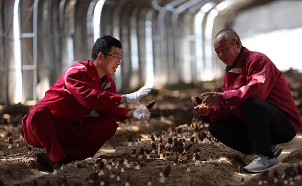 9a9c06de28a144d498b8258cc89486da.png 图片11.png